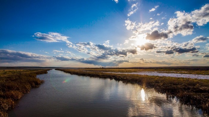 River flowing through a marshy landscape at sunset