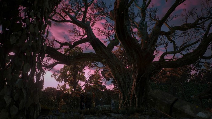 Geralt and Yennefer from The Witcher 3 Wild Hunt in a forest at sunset