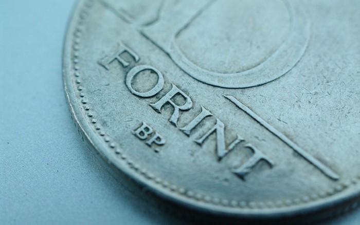 Close up of a Hungarian Forint coin