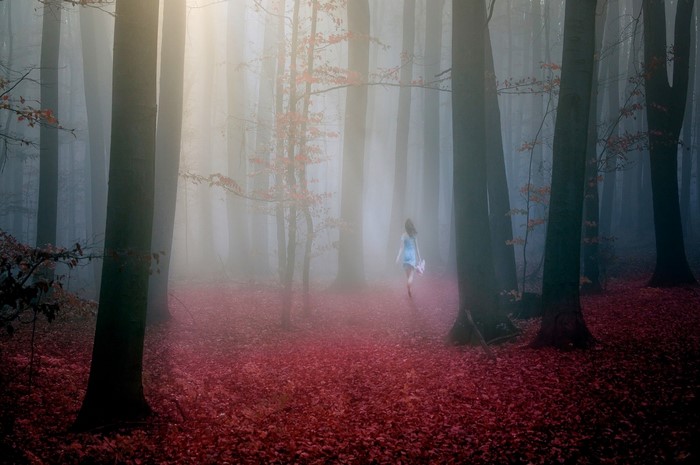 Girl walking in a foggy autumn forest with red leaves