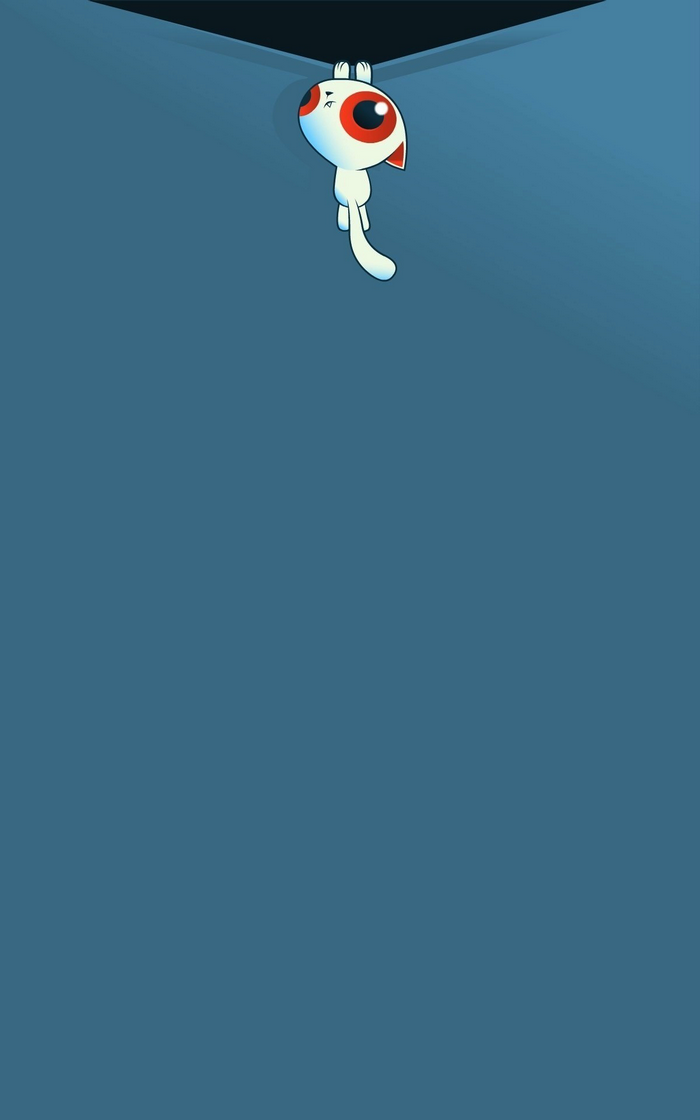 White cat hanging from a corner