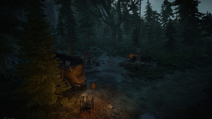 The Witcher 3 Wild Hunt: Forest campsite at night