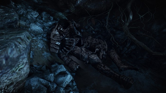 The Witcher 3 Wild Hunt: A fallen knight in darkness