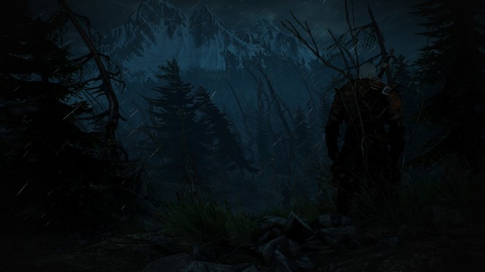 Geralt of Rivia in a dark forest during a storm