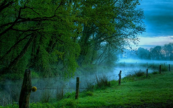 Misty morning by a river with trees and barbed wire