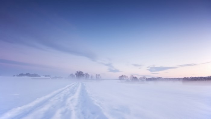 Winter landscape with snow-covered field and trees at dawn