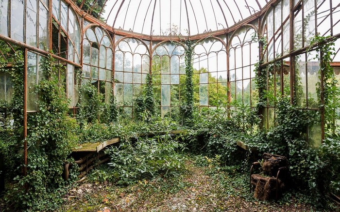 Overgrown abandoned greenhouse with ivy and broken glass