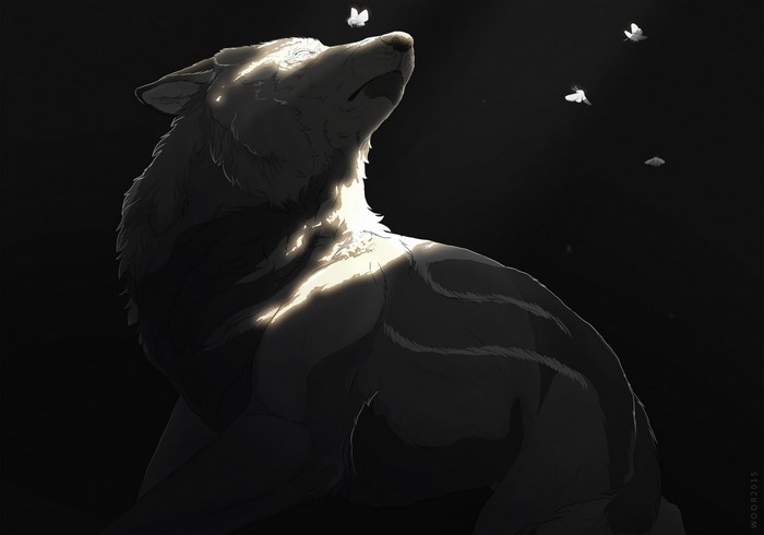 Monochrome illustration of a wolf with butterflies