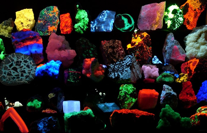 Collection of fluorescent minerals under UV light