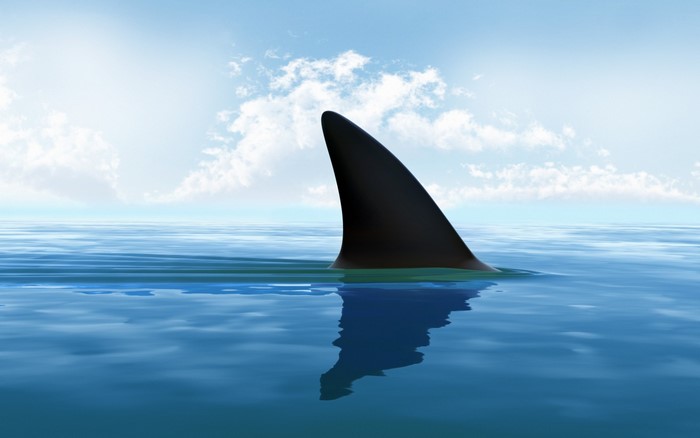 Shark fin in the ocean under a cloudy sky