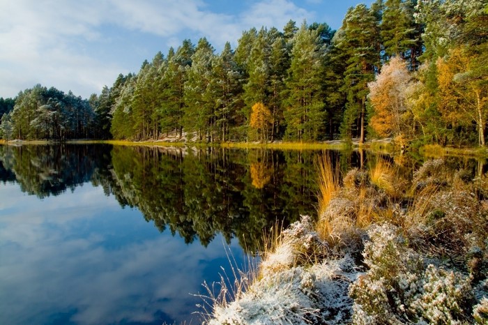 Autumn forest reflected in a calm lake with frost