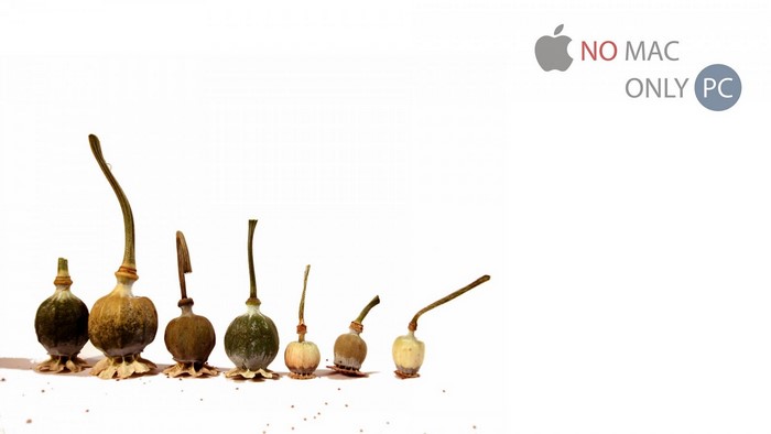Poppy seed pods and Apple logo with text