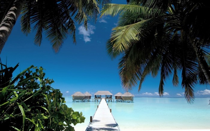 Tropical resort with overwater bungalows and palm trees