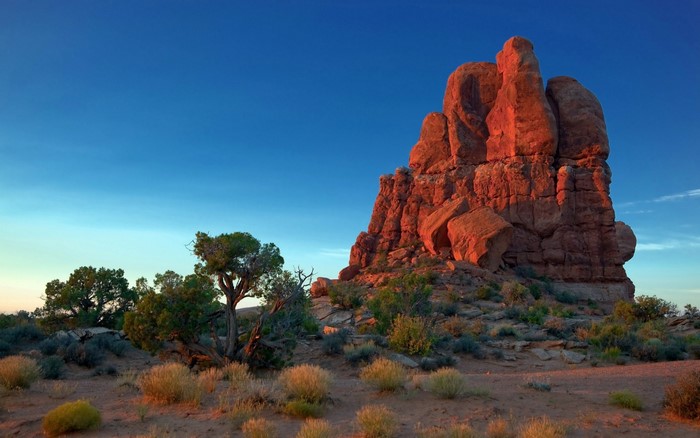 Red rock formation in a desert landscape under a blue sky