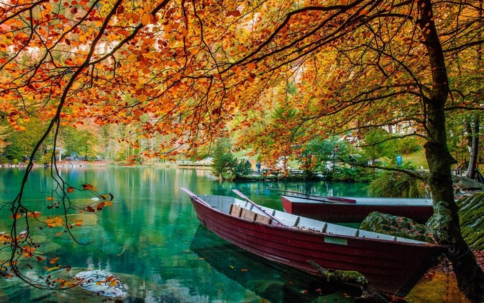 Boats on a lake surrounded by autumn trees