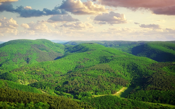 Green rolling hills and forest under a cloudy sky