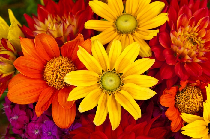 Colorful Gerbera Flower Bouquet