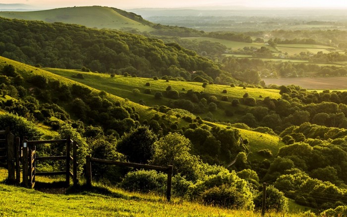 Rolling green hills with trees and a wooden fence