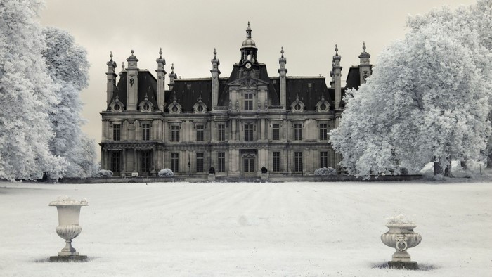 Chateau with trees in winter