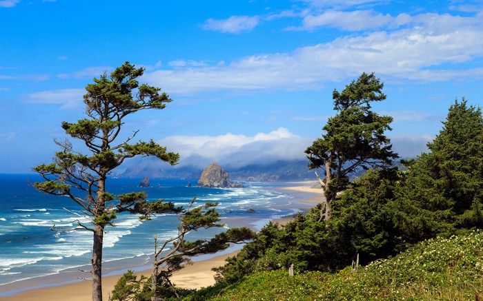 Haystack Rock and Cannon Beach Oregon Coast