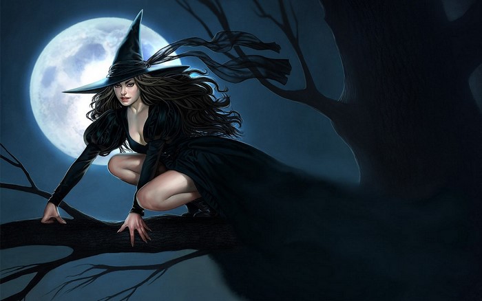 Witch in a black dress on a tree branch under the moon