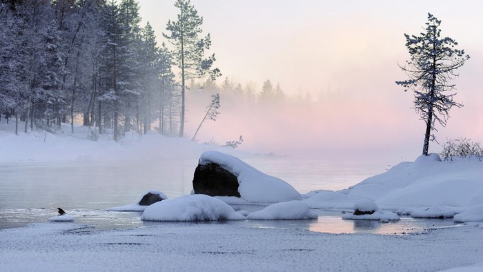 Winter landscape with snow-covered trees and a misty river