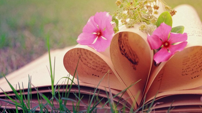 Pink flowers on an open book in grass