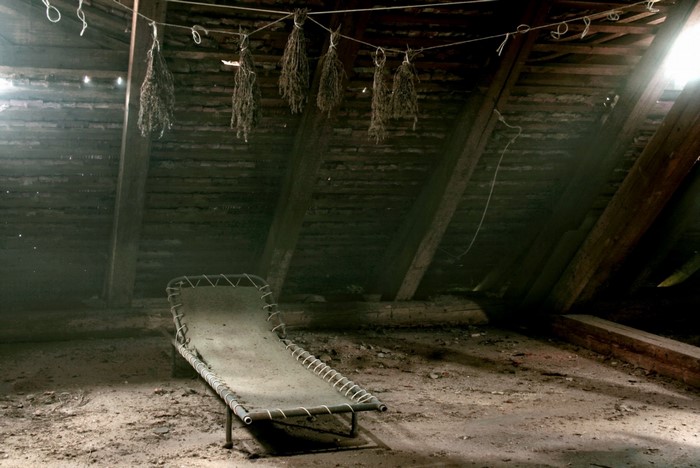 Attic with drying herbs and a cot