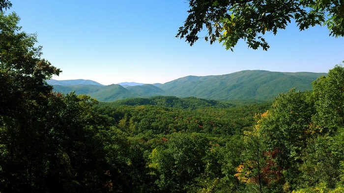 Smoky Mountains Forest and Valley Landscape