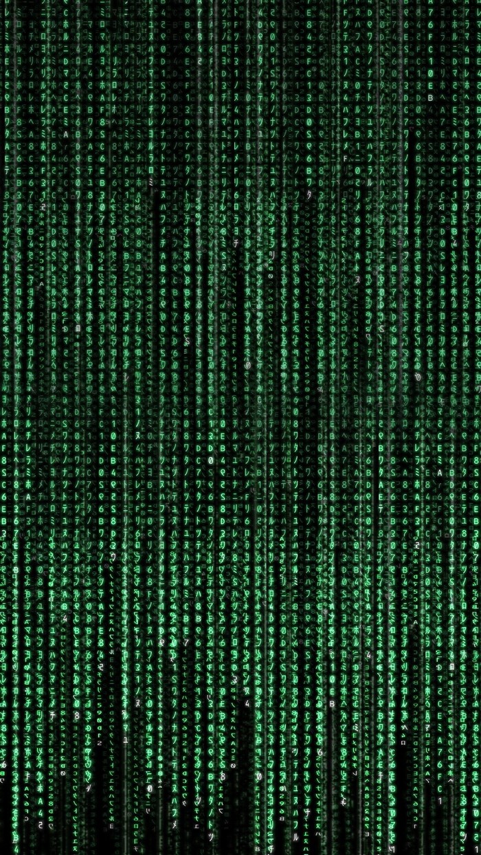 The Matrix Digital Rain