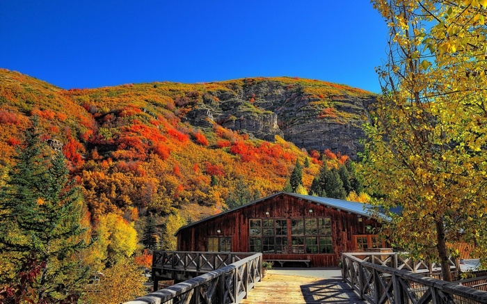Wooden lodge on a mountainside with autumn foliage