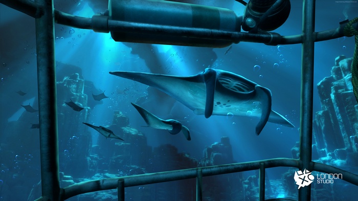 Manta Rays swimming in underwater ruins