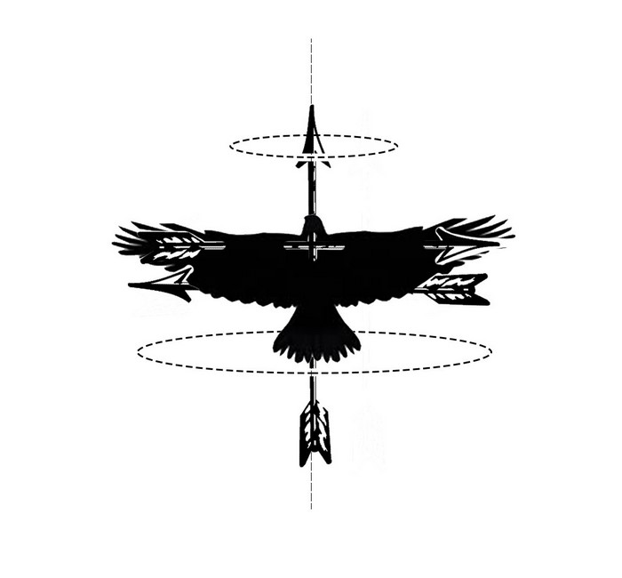 Silhouette of an eagle with arrows and dashed circles