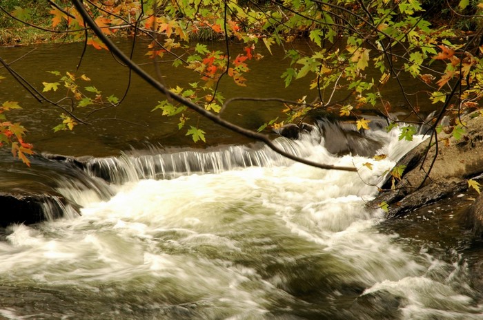 Autumn leaves frame a flowing river with a small waterfall