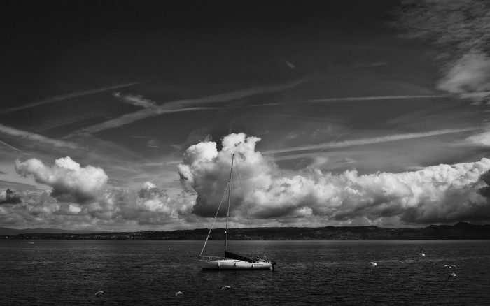 Sailboat on the sea with clouds and birds