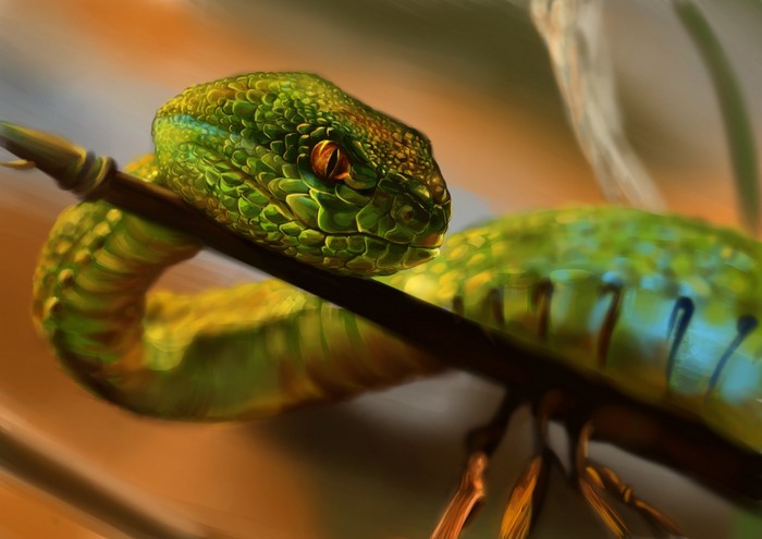 Green snake coiled on a branch