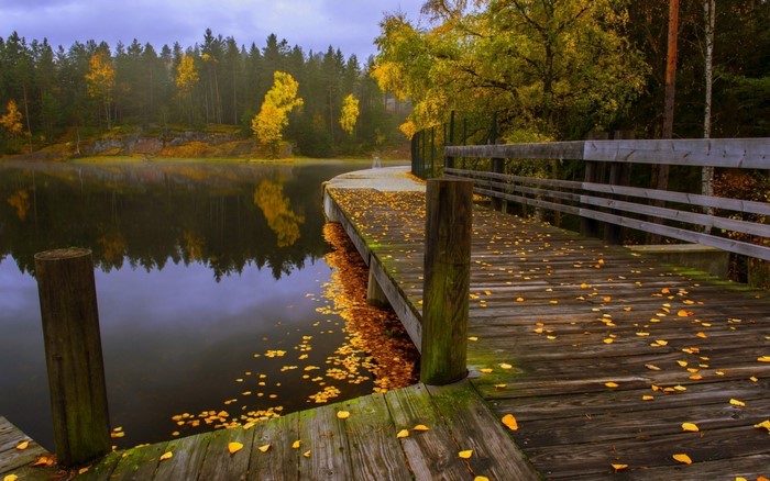 Autumn Lake with Wooden Walkway and Trees