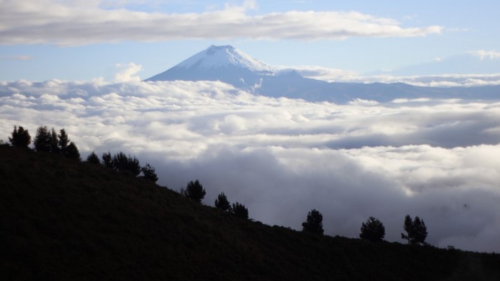 Snowy mountain peak above clouds with foreground hill and trees