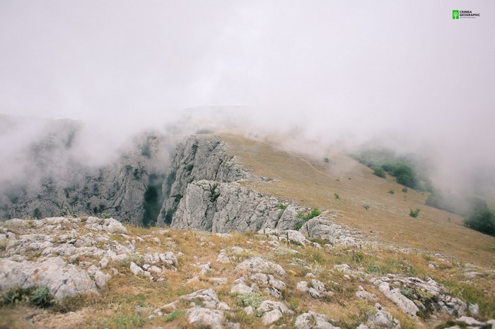 Rocky mountain ridge shrouded in fog