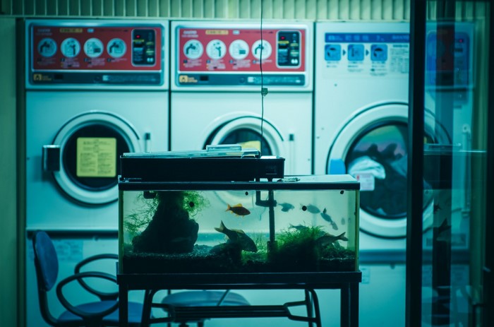 Aquarium in front of washing machines