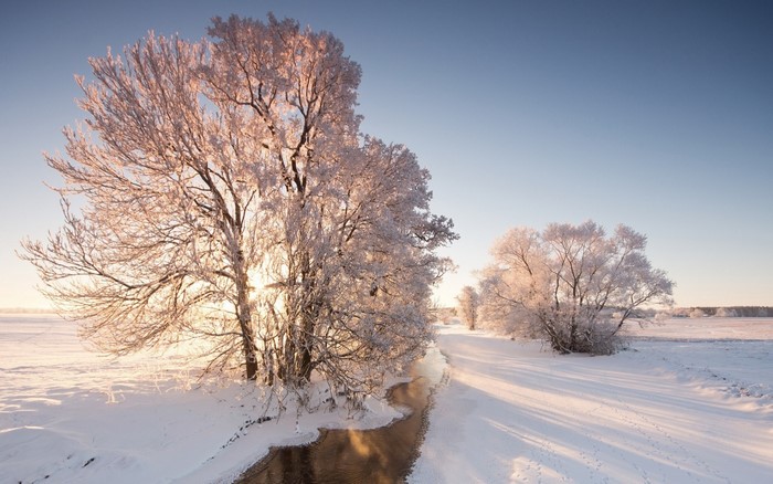 Winter landscape with frosted trees and a river at dawn