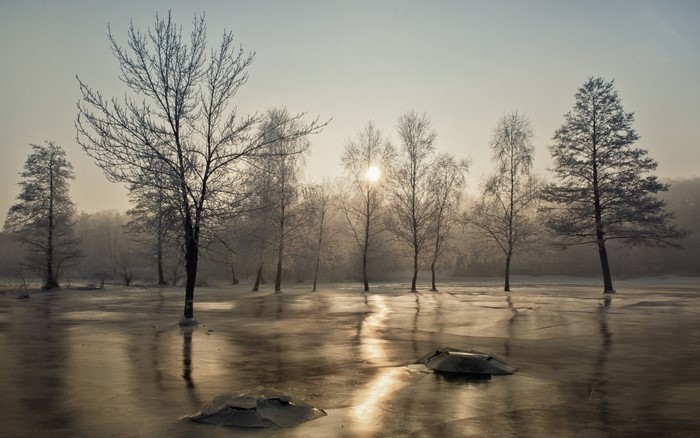 Winter landscape with frozen lake and trees