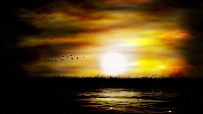 Sunset over water with birds flying