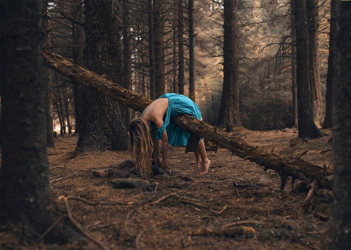 Woman in blue dress on fallen tree in forest