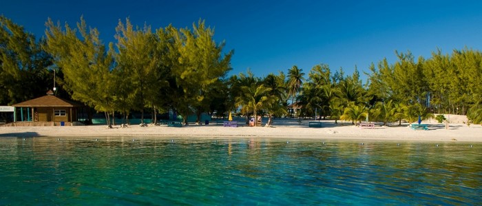 Tropical beach with palm trees and turquoise water