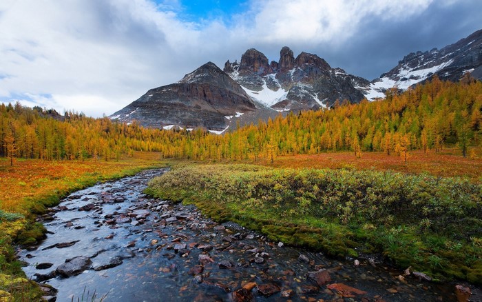 Autumn mountain landscape with stream and yellow trees