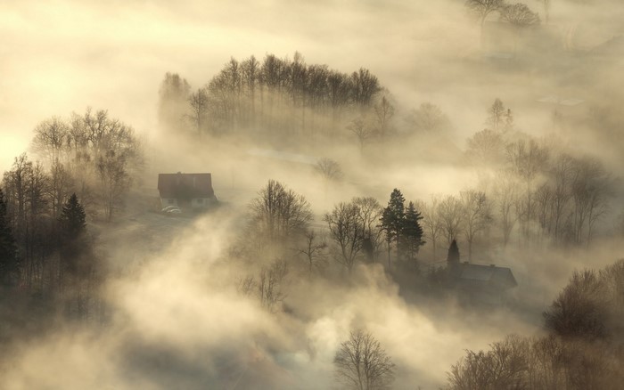 Aerial view of houses and trees in morning fog