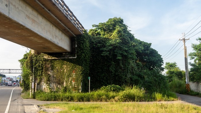 Overpass overgrown with vines in a rural area of Taiwan