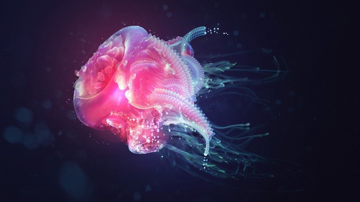 Pink and purple jellyfish with glowing tentacles underwater