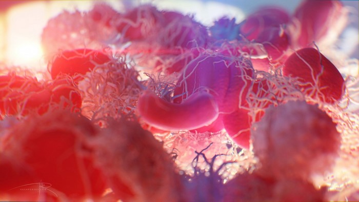 Microscopic view of red blood cells and white blood cells